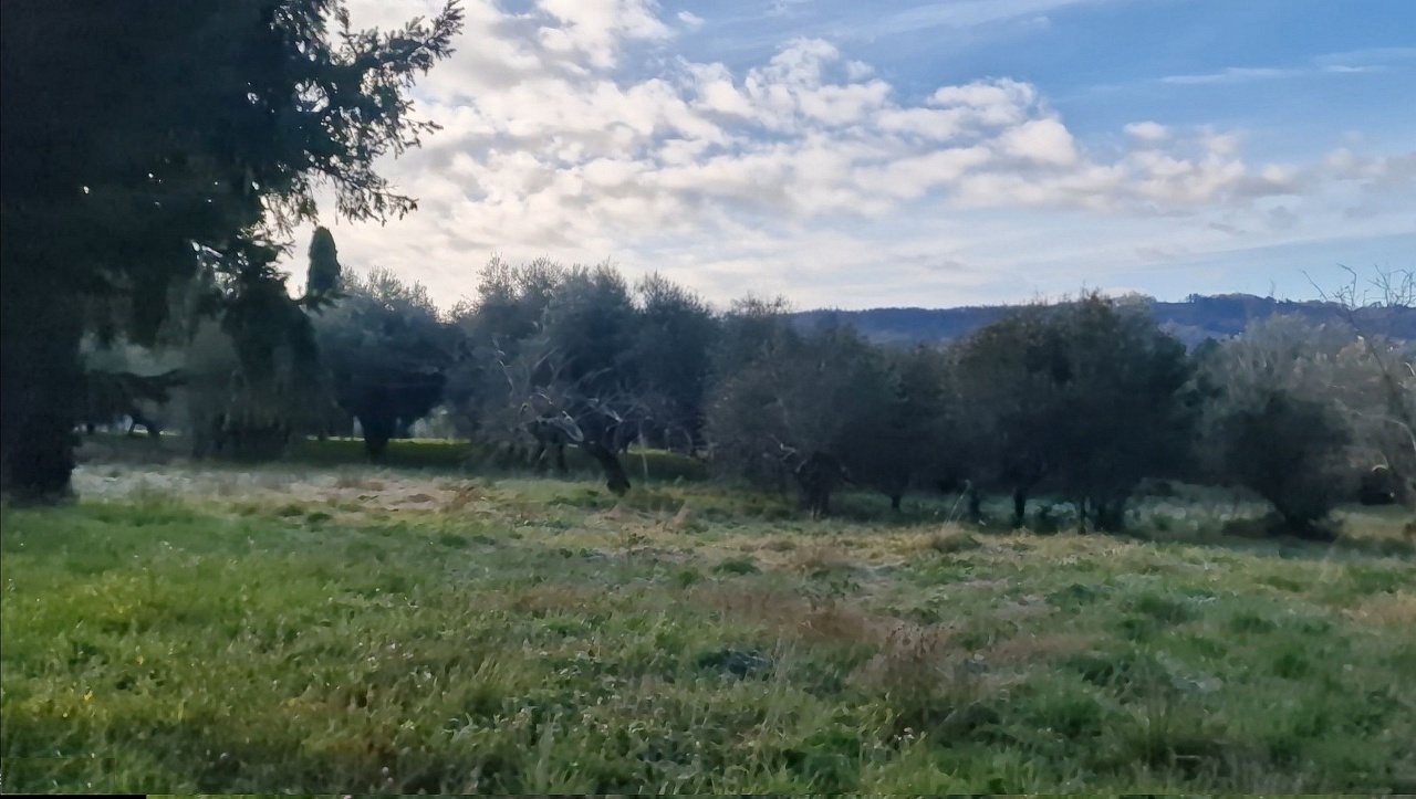 Terreno in vendita in via la chiusa, Camaiore