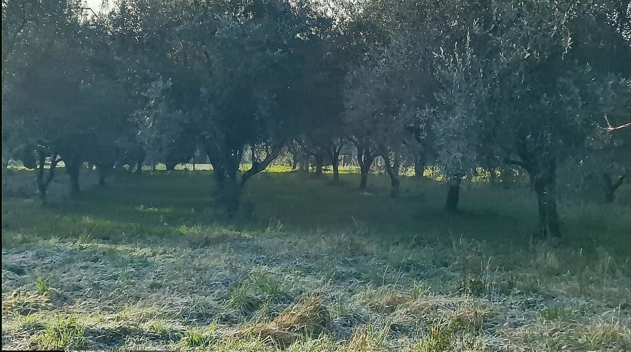 Terreno con giardino in via la chiusa, Camaiore