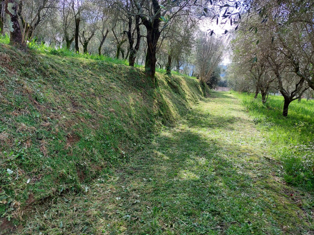 Terreno con giardino in via la chiusa, Camaiore