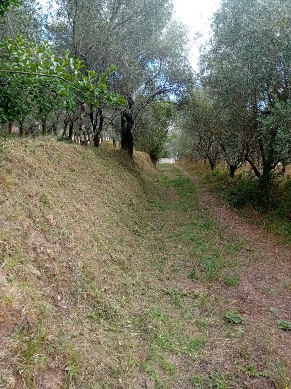 Terreno con giardino in via la chiusa, Camaiore