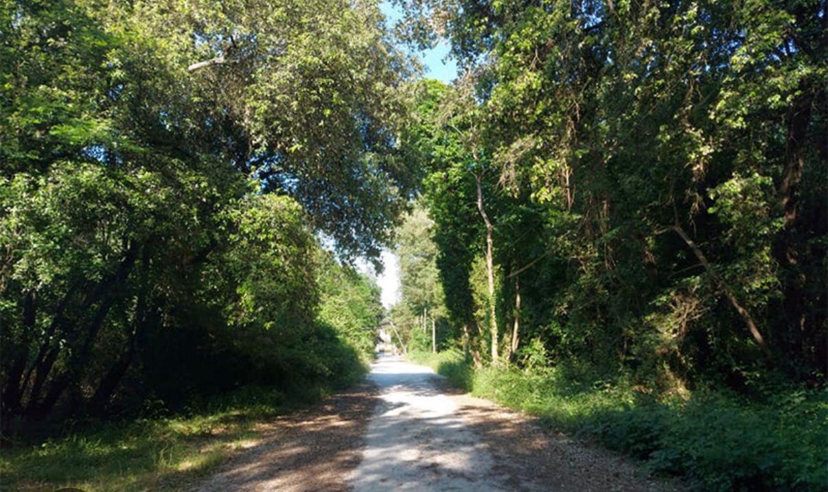 Villa con giardino a Viareggio