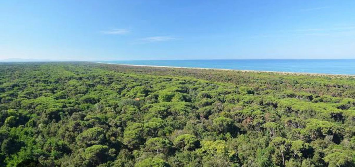 Casa indipendente con giardino a Viareggio