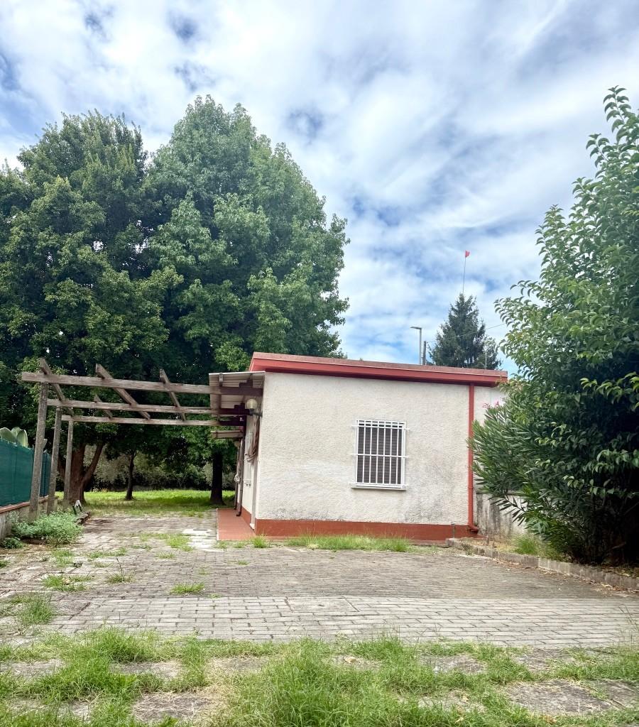 Casa indipendente in vendita, Massa mirteto