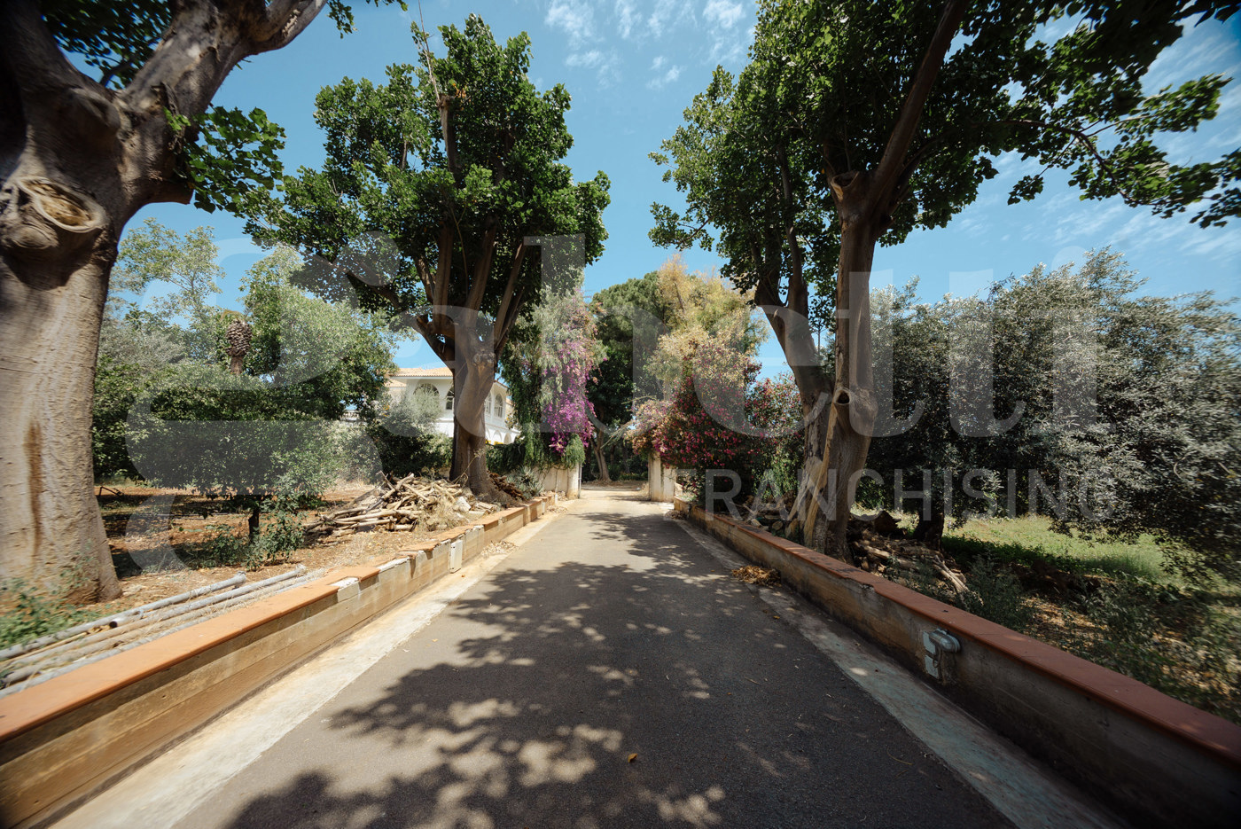 Villa ristrutturata a Palermo