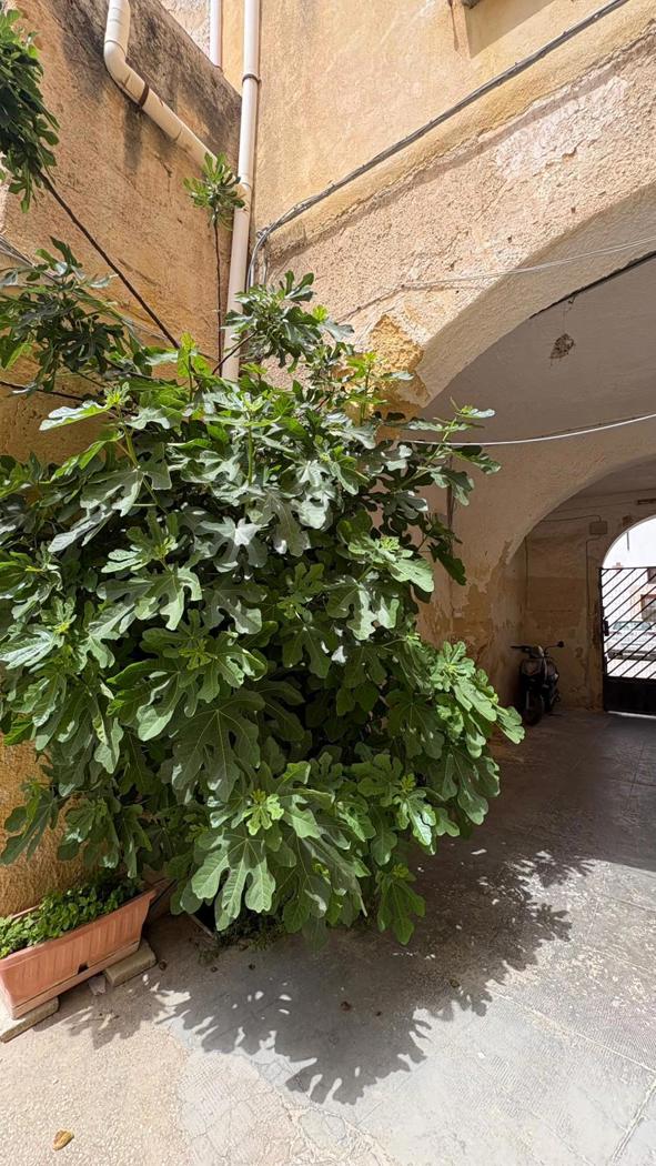 Quadrilocale da ristrutturare a Marsala