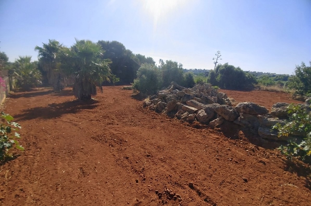 Terreno Agricolo in vendita a Marsala