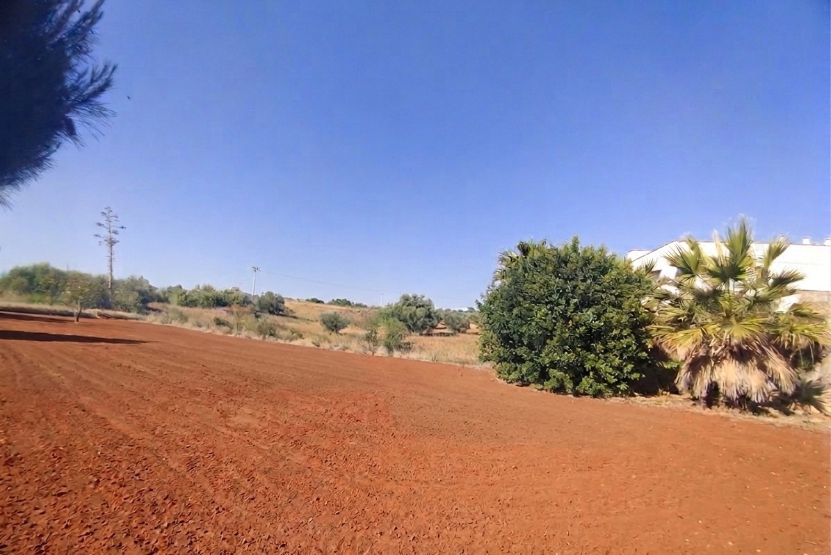 Terreno Agricolo in vendita a Marsala