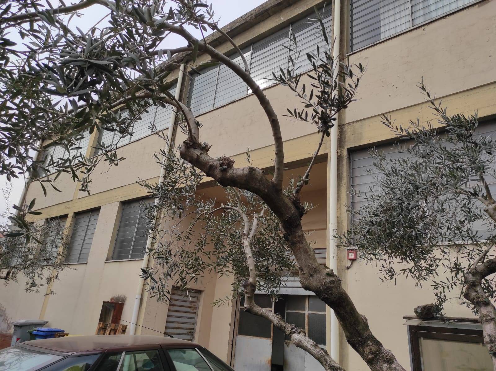 Capannone in affitto a Scandicci, Casellina