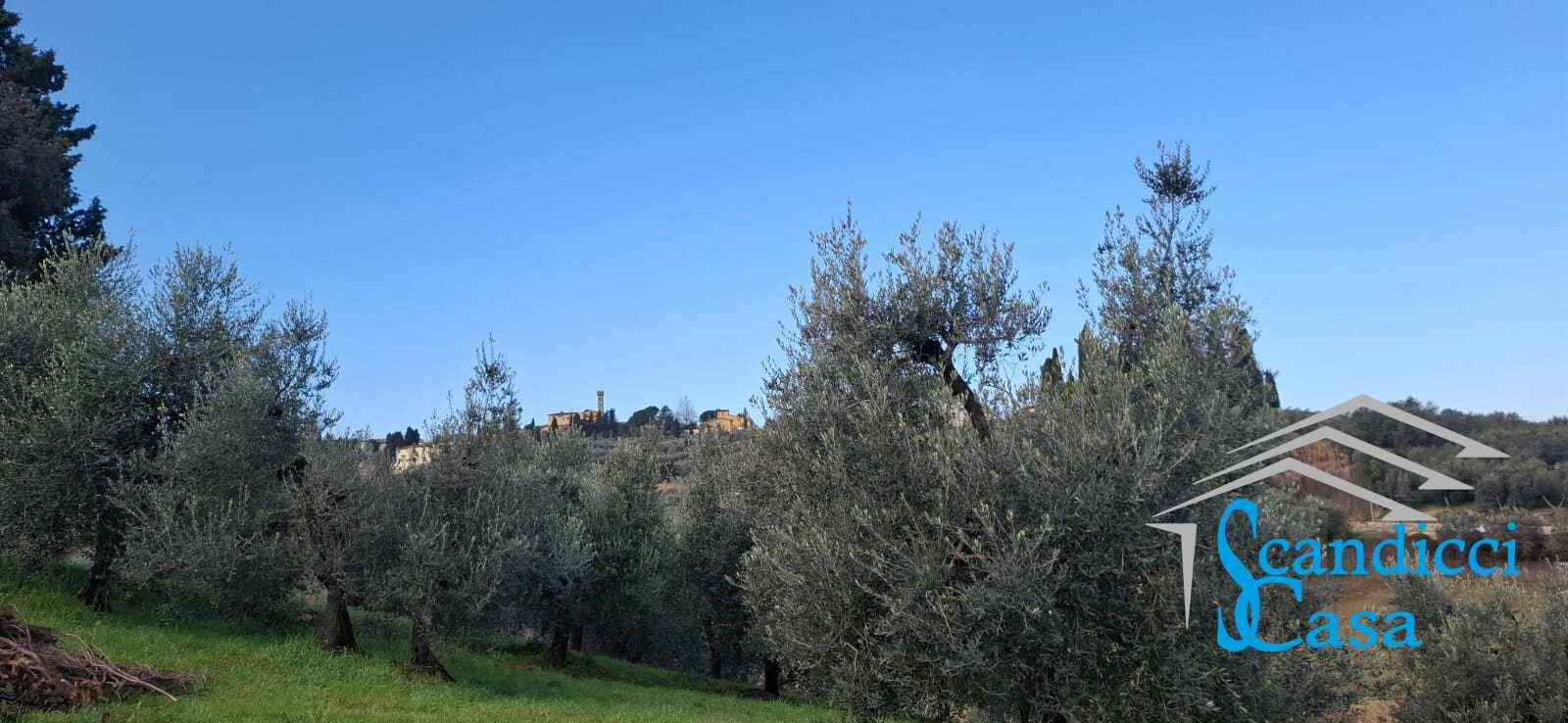 Terreno Agricolo in vendita a Scandicci, Rinaldi