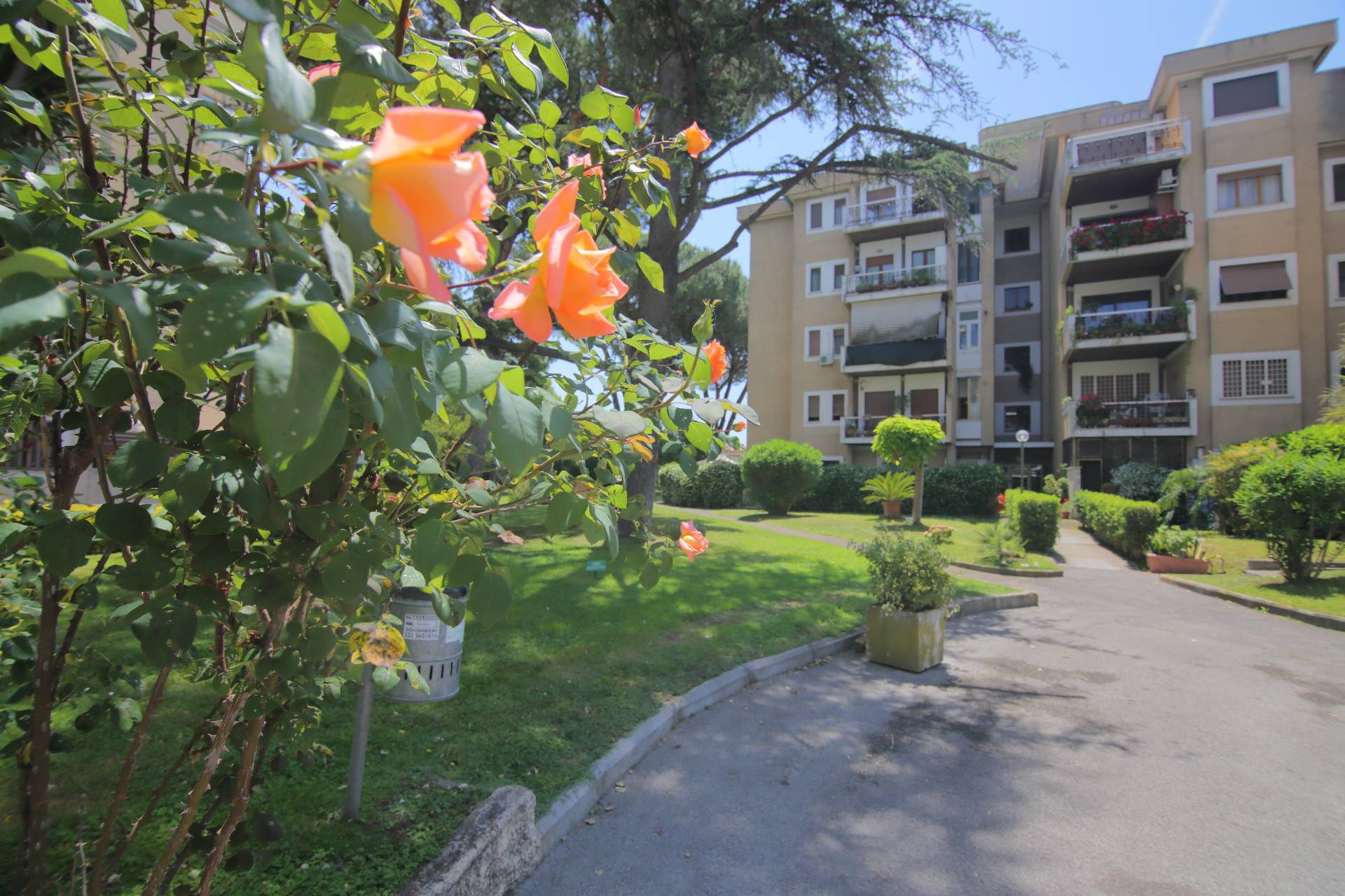 2 locali in vendita a Roma, Torvergata