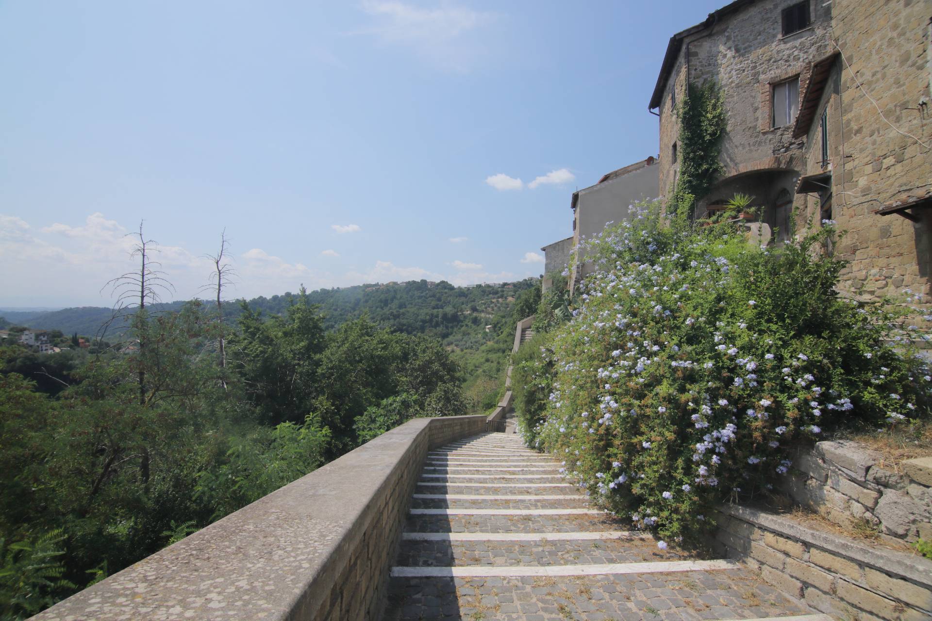 3 locali in vendita a Castelnuovo di Porto