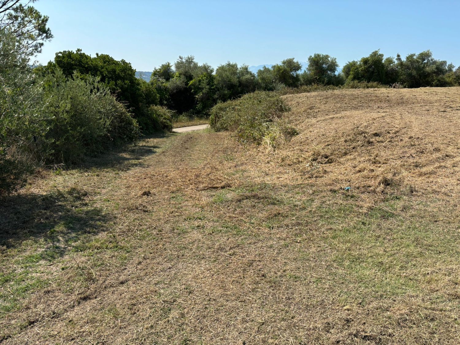 Terreno in vendita in via valle carbone 0, Spoltore