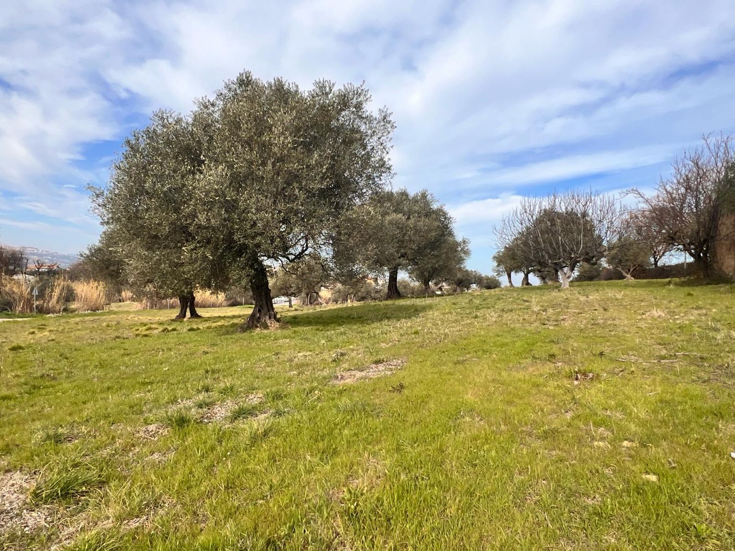 Terreno vista mare in strada comunale collevento 0, Montesilvano