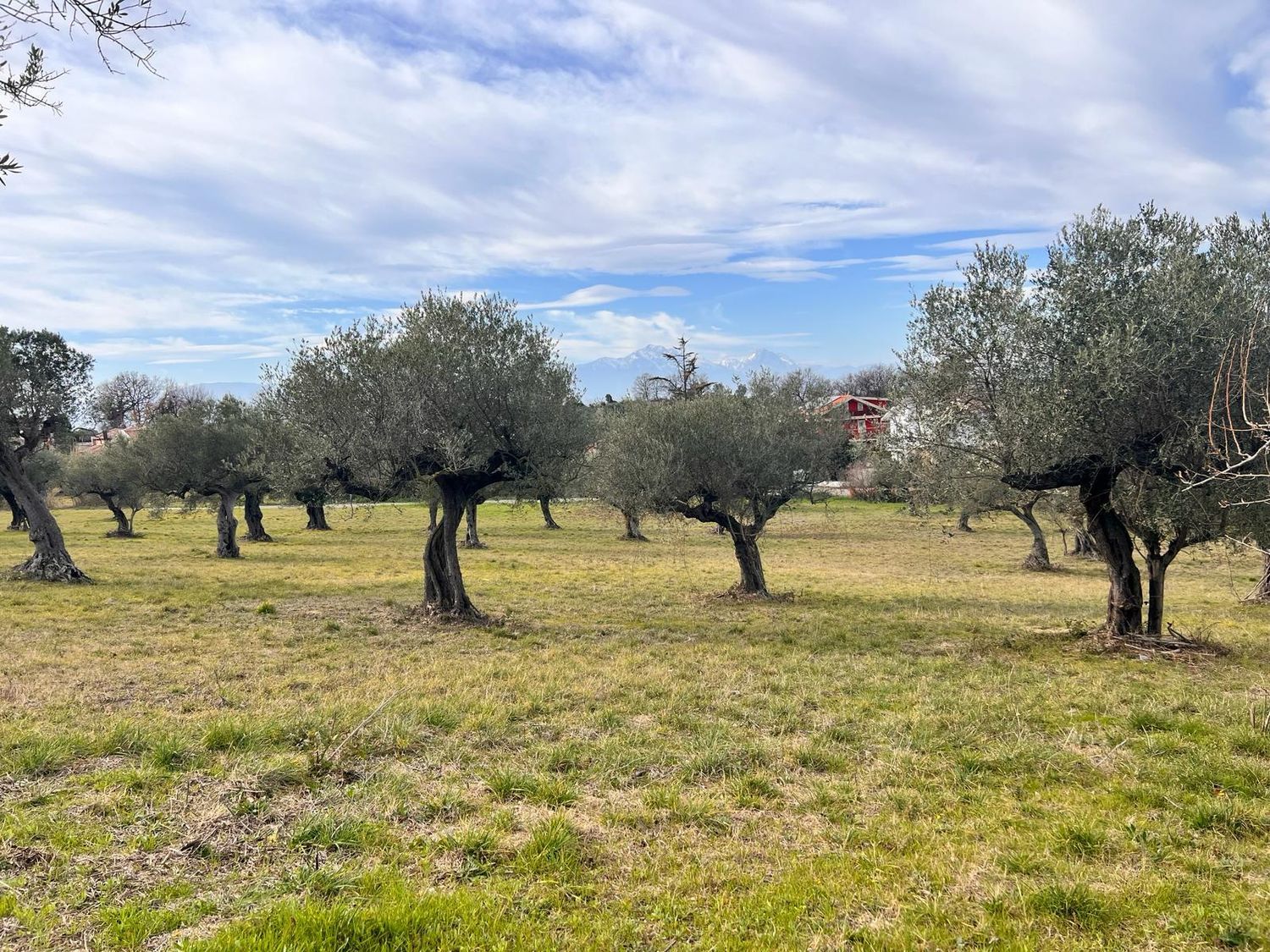Terreno vista mare in strada comunale collevento 0, Montesilvano