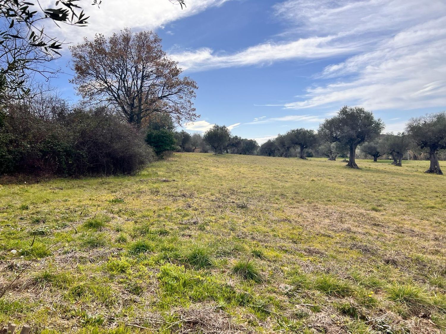 Terreno vista mare in strada comunale collevento 0, Montesilvano