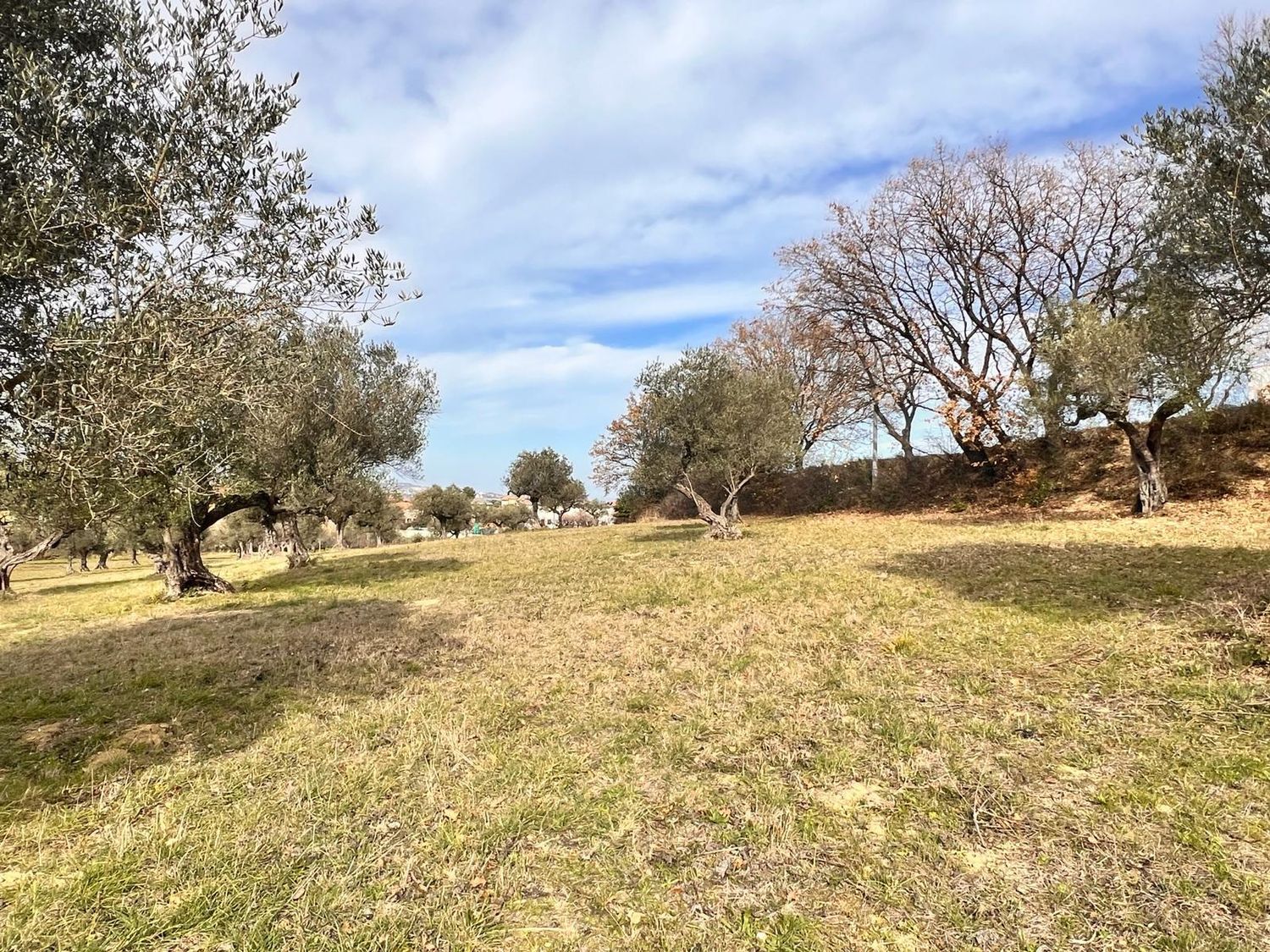 Terreno vista mare in strada comunale collevento 0, Montesilvano