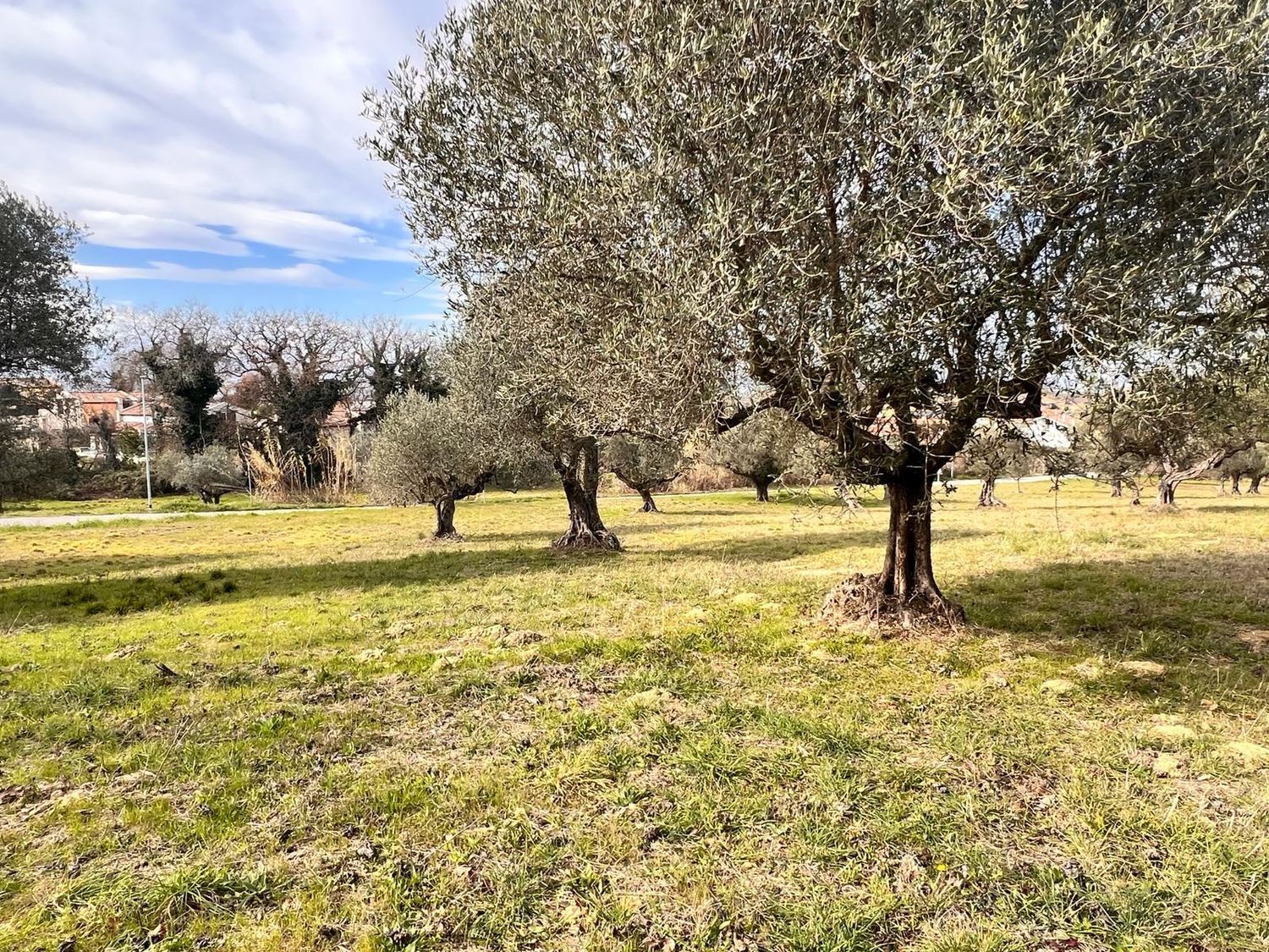 Terreno vista mare in strada comunale collevento 0, Montesilvano