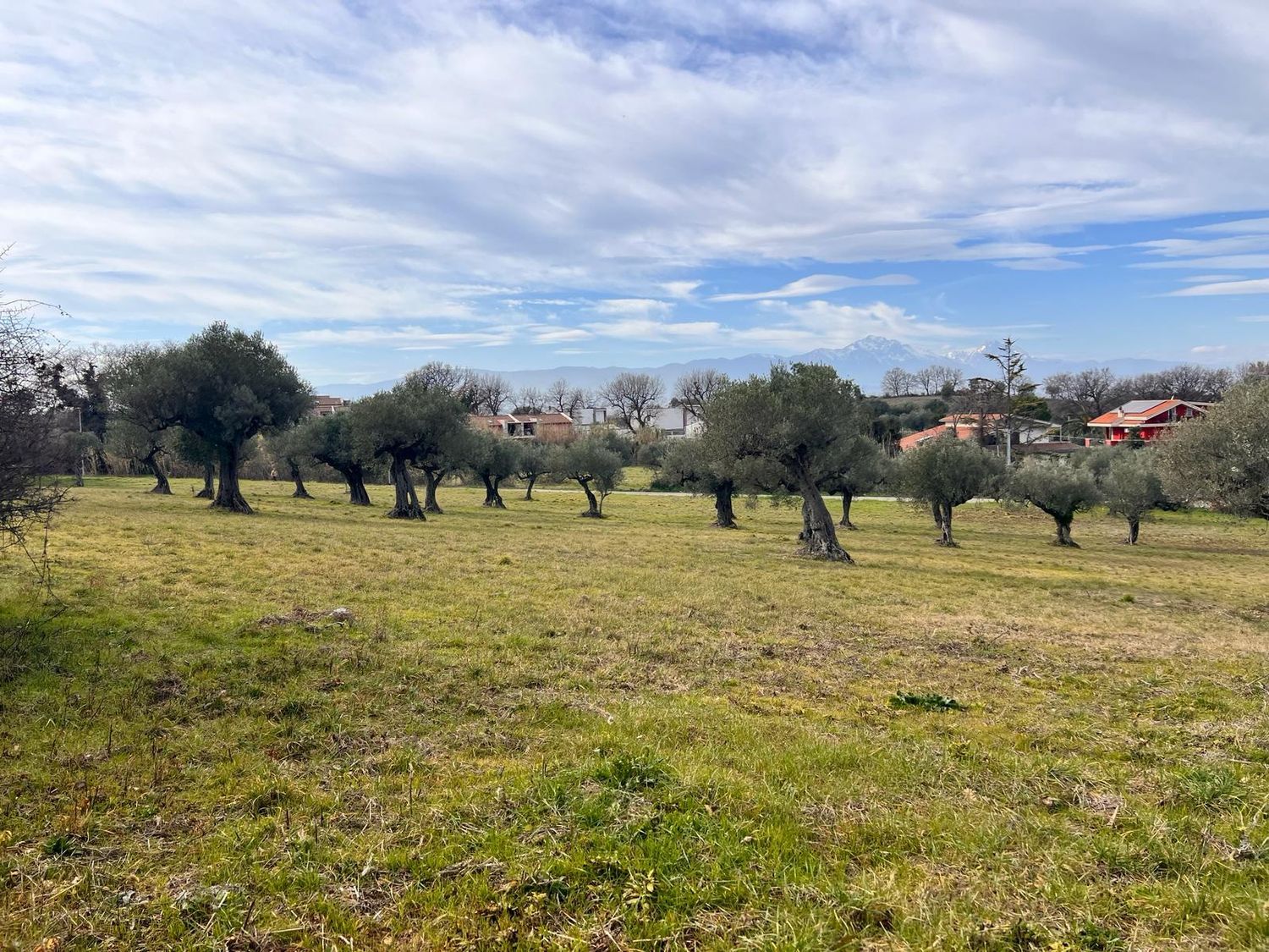 Terreno vista mare in strada comunale collevento 0, Montesilvano