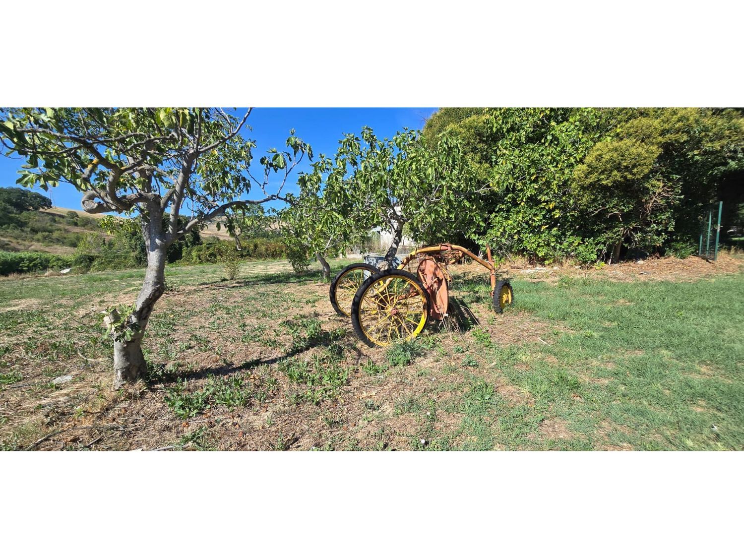 Terreno in vendita in via giacomo matteotti 0, Alanno