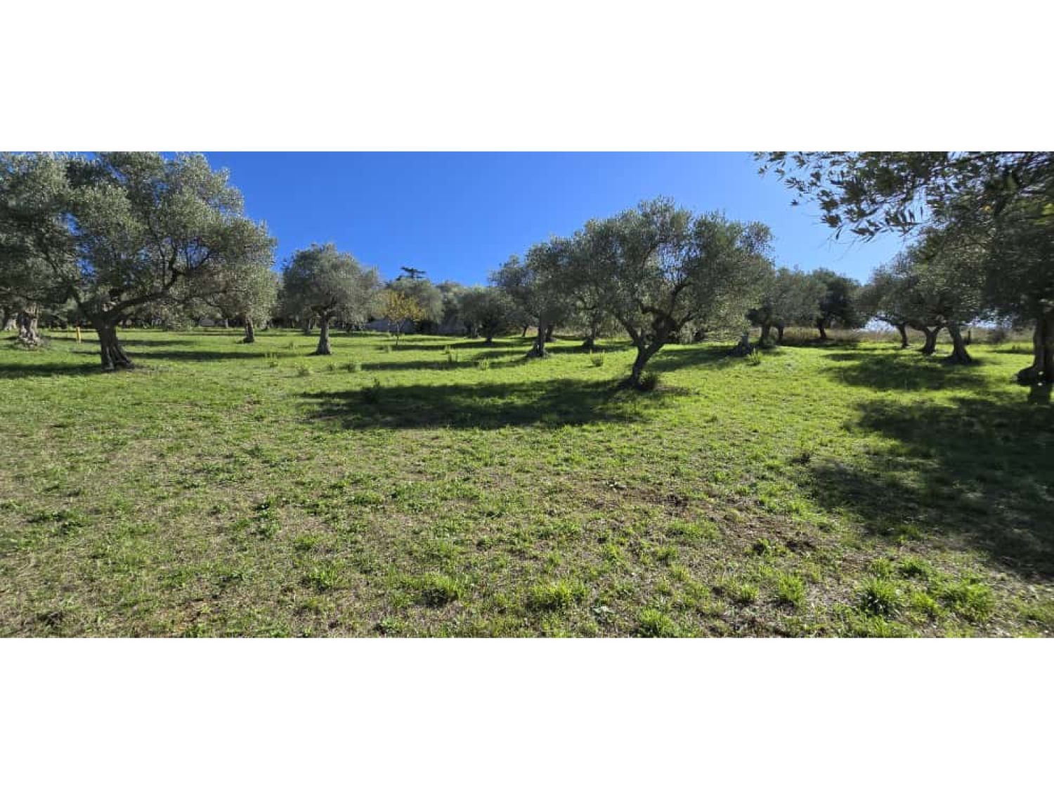 Terreno in vendita in strada vicinale case delle monache 62, Pescara