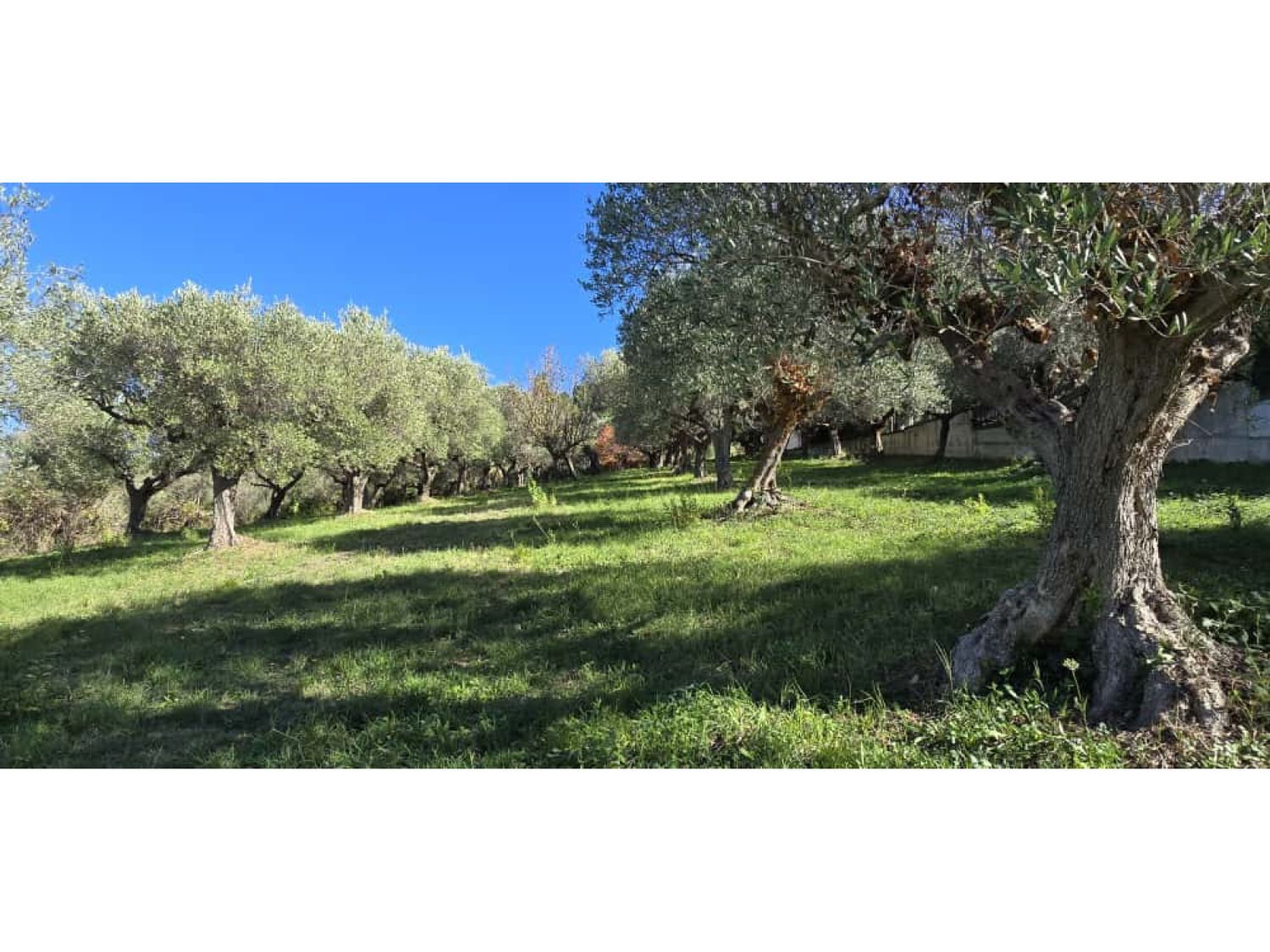 Terreno in vendita in strada vicinale case delle monache 62, Pescara