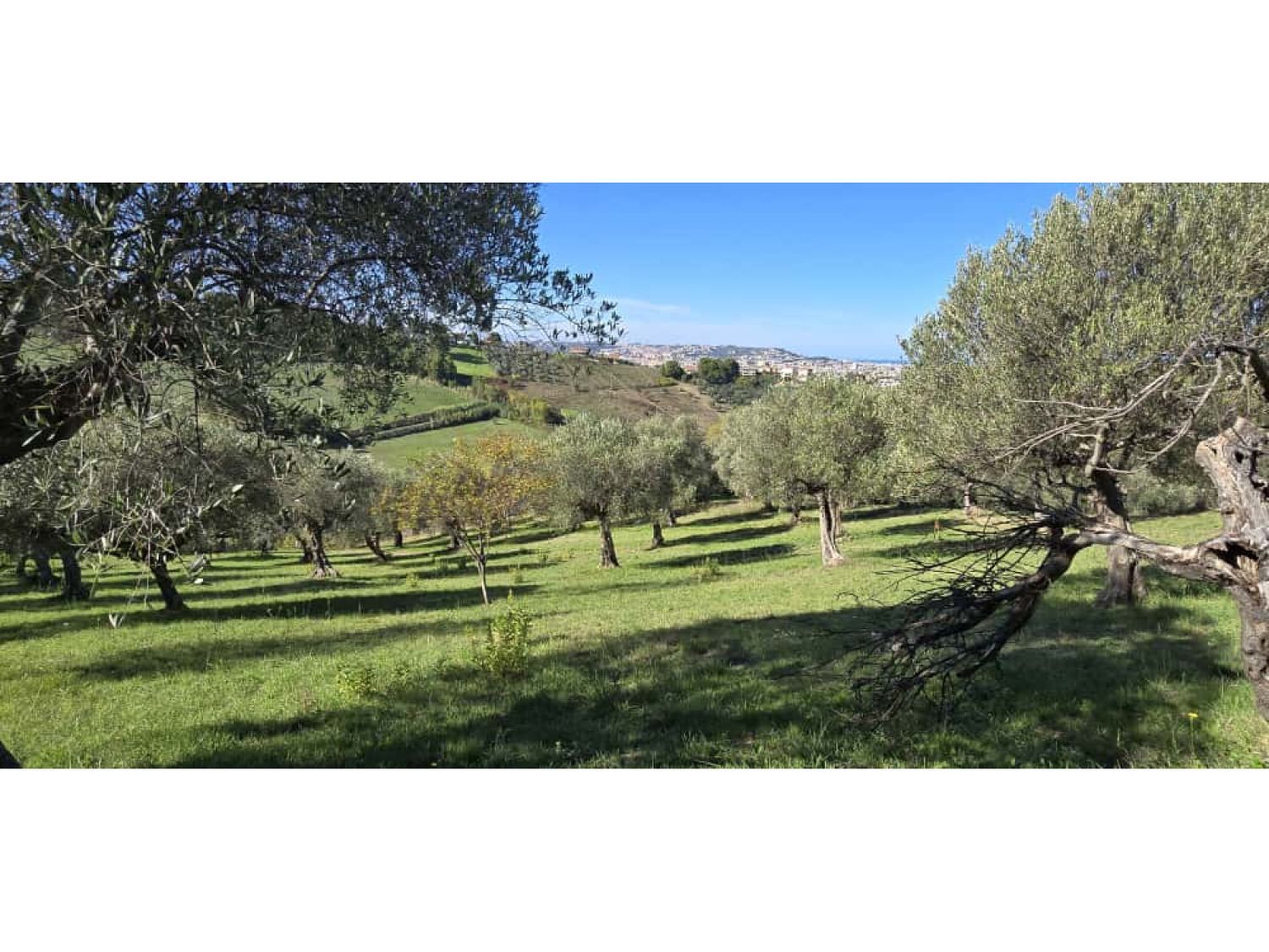 Terreno in vendita in strada vicinale case delle monache 62, Pescara