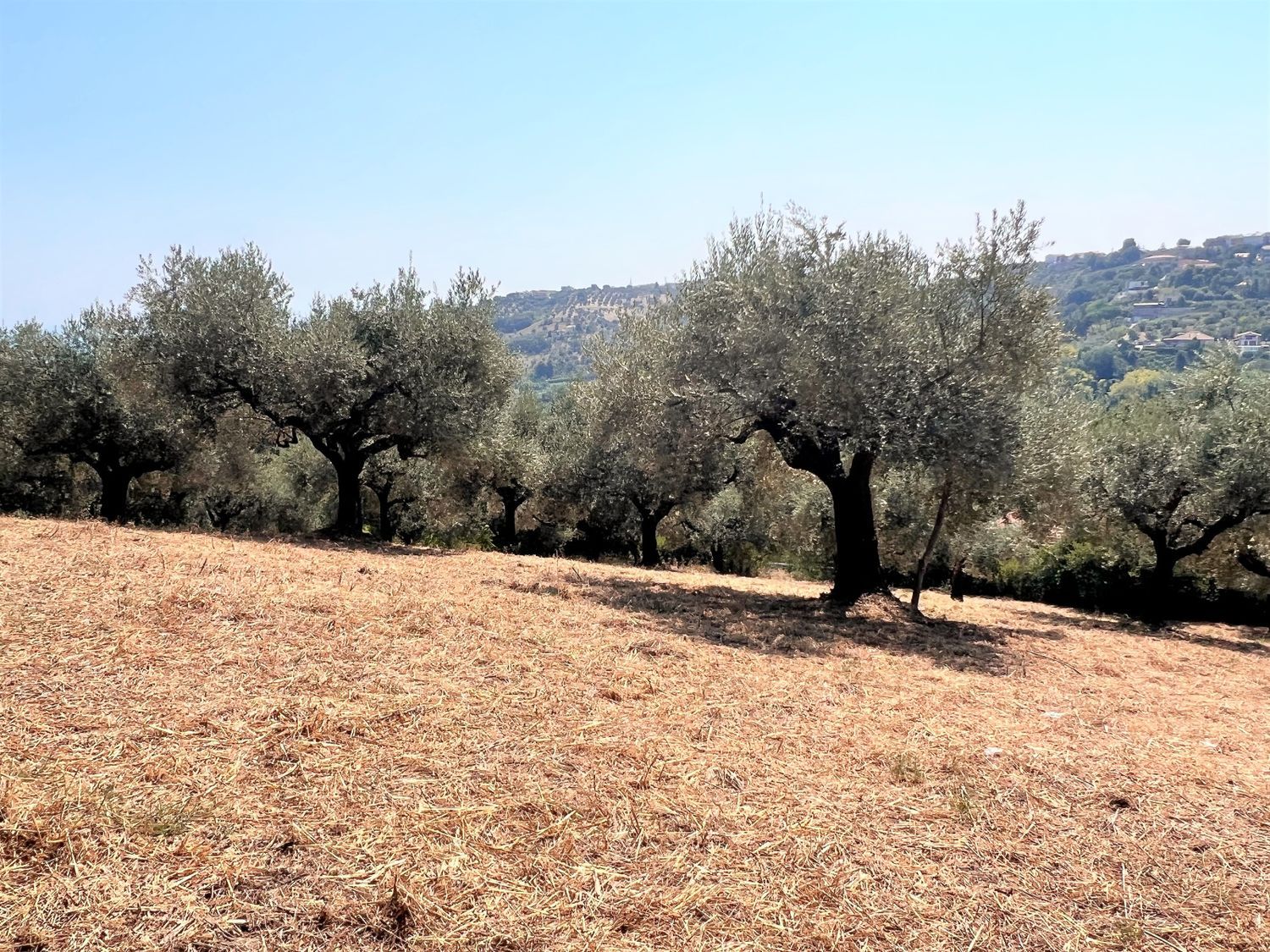 Terreno vista mare in via alcide de gasperi 0, Montesilvano