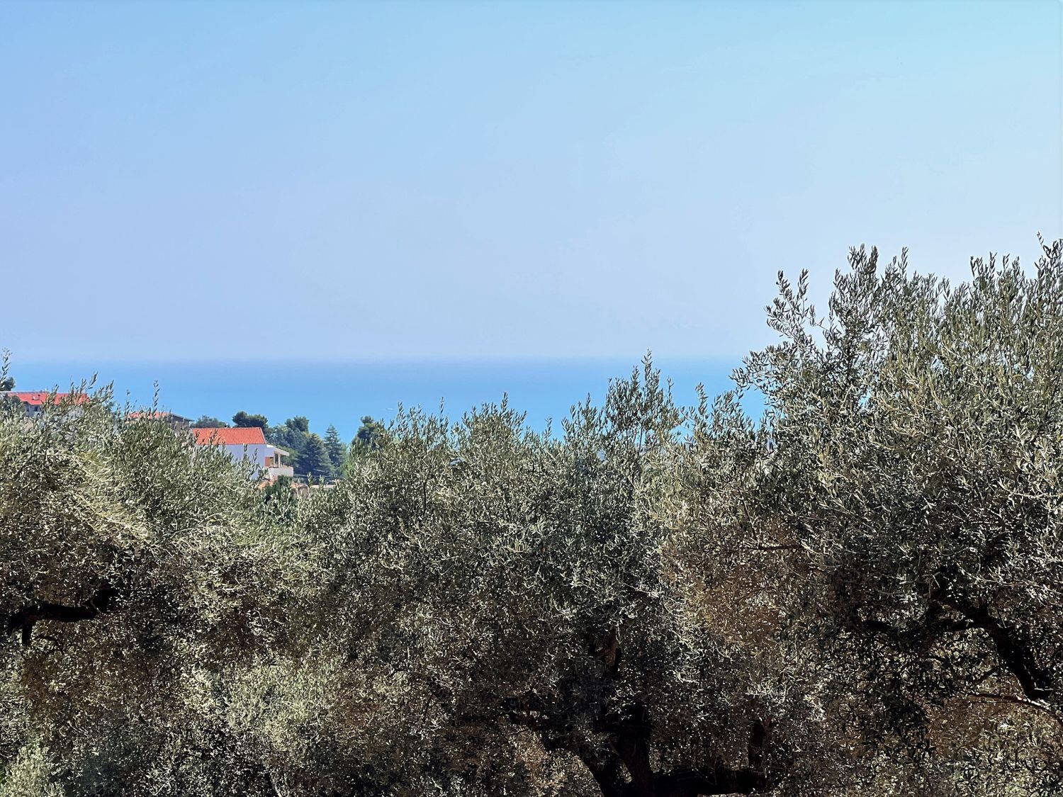 Terreno vista mare in via alcide de gasperi 0, Montesilvano