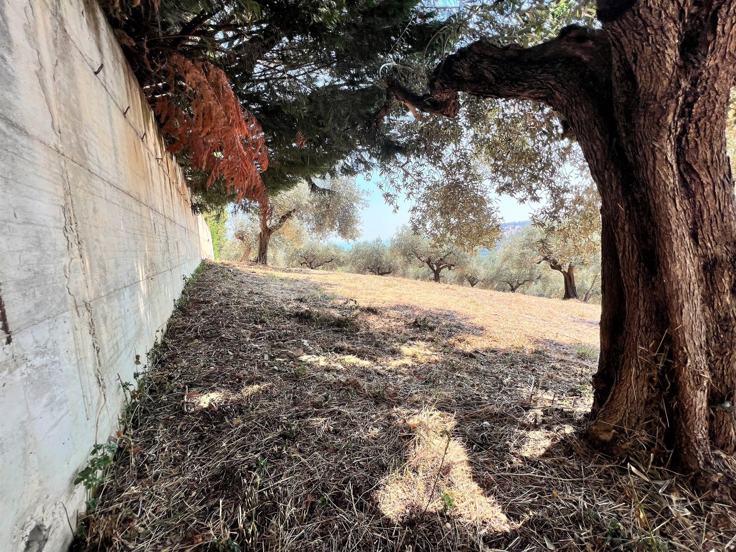 Terreno vista mare in via alcide de gasperi 0, Montesilvano