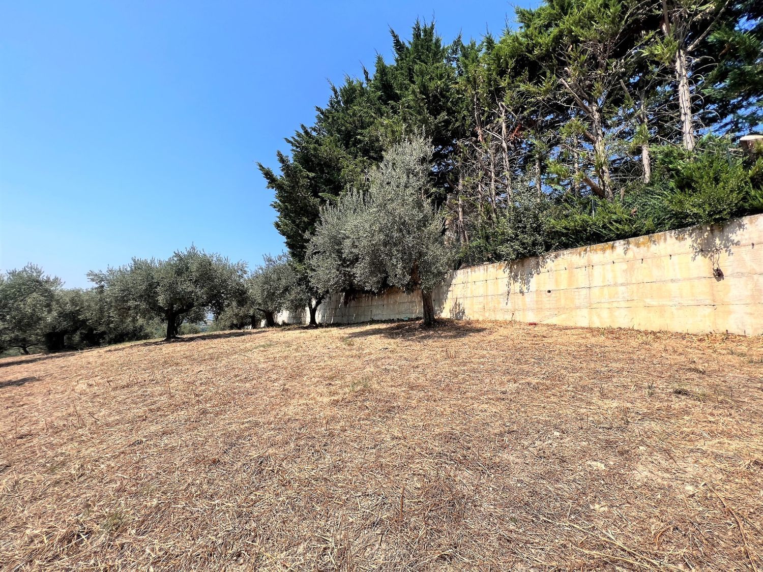 Terreno vista mare in via alcide de gasperi 0, Montesilvano