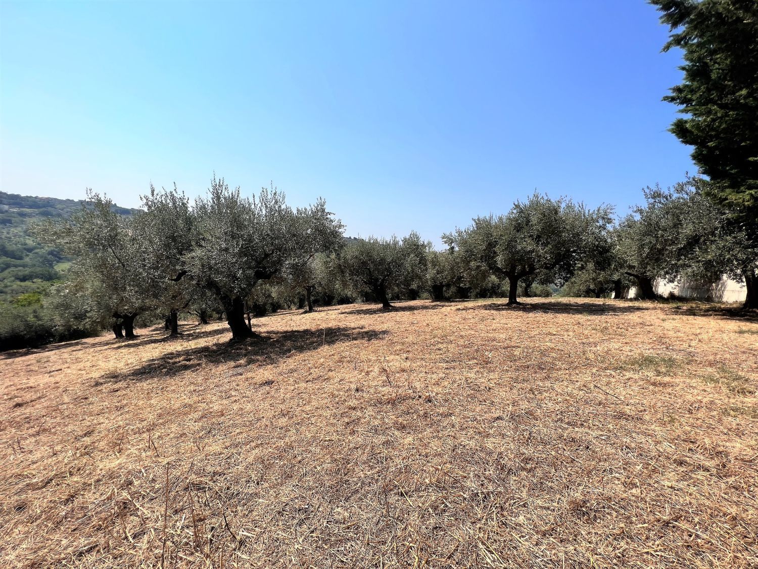 Terreno vista mare in via alcide de gasperi 0, Montesilvano