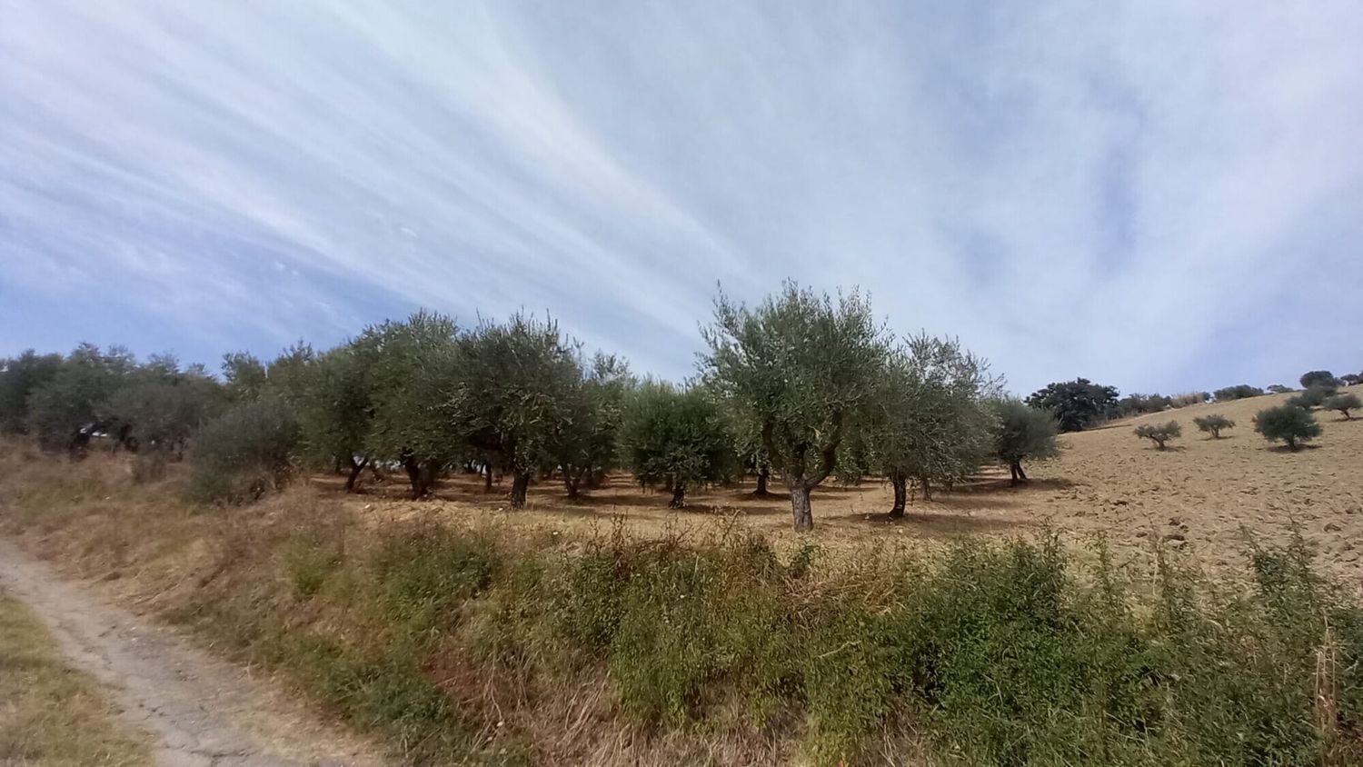 immagine annuncio 4 di 6