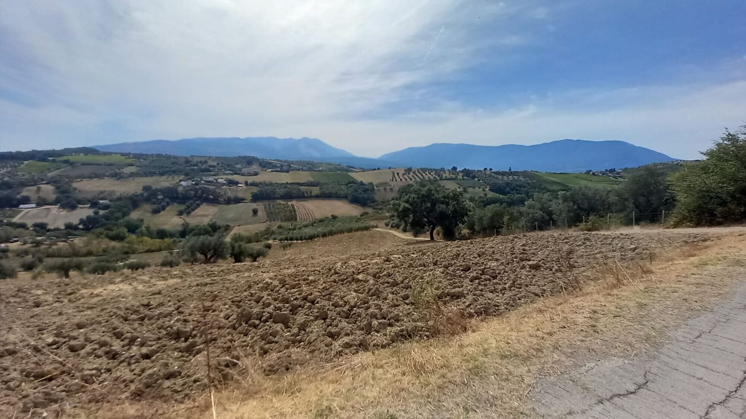 immagine annuncio 5 di 6