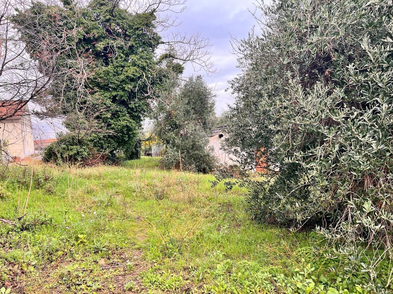 immagine annuncio 1 di 6