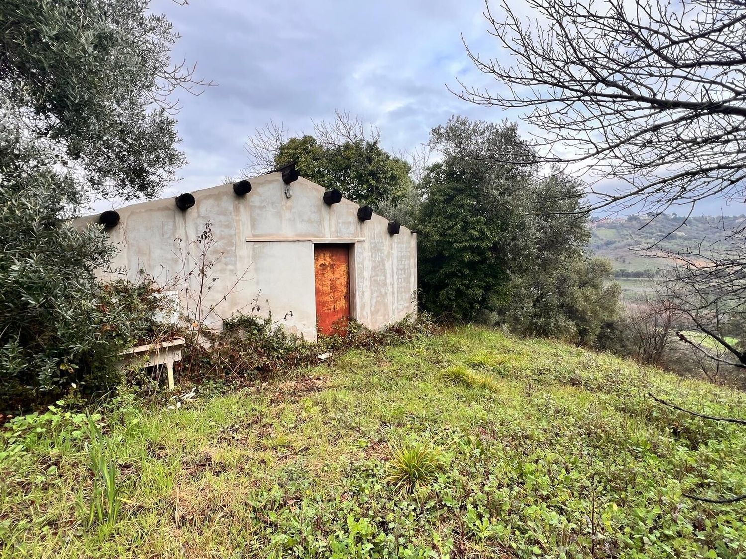 immagine annuncio 5 di 6