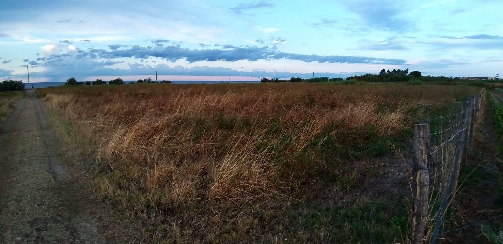 Terreno Agricolo in vendita a Corigliano-Rossano