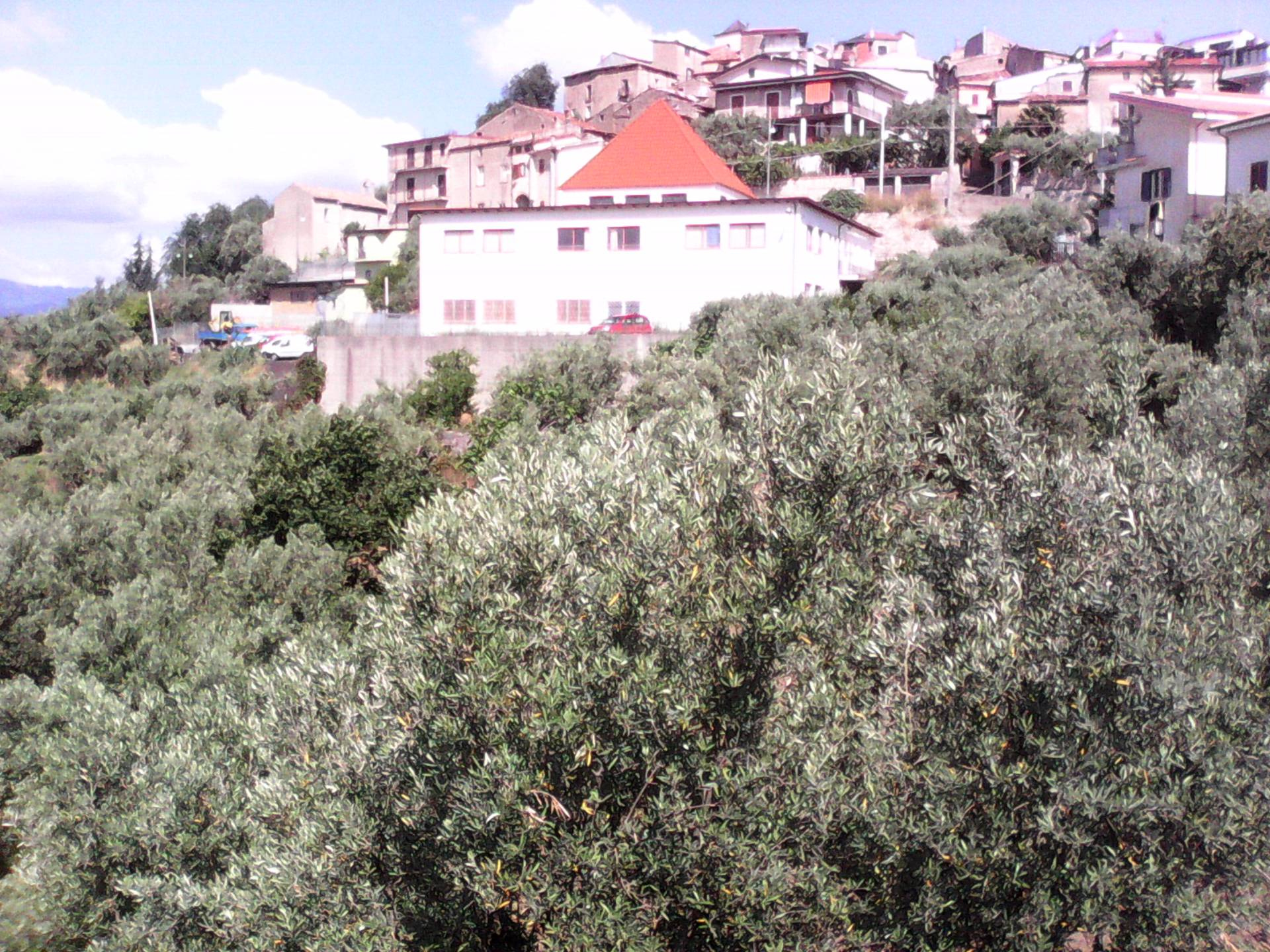 Terreno edificabile in vendita a Casali del Manco