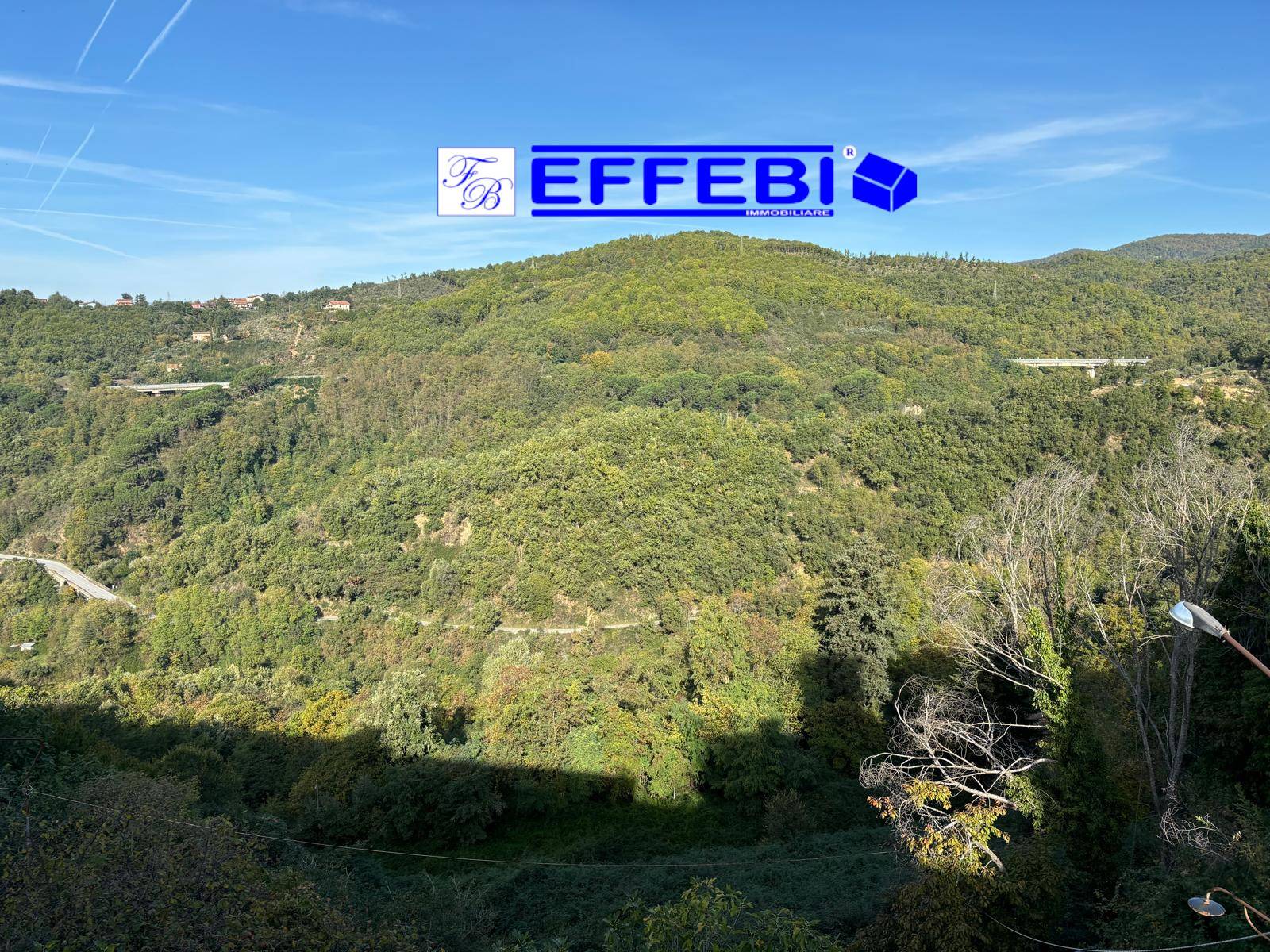 Fabbricato nel centro storico con corte in vendita a Celico