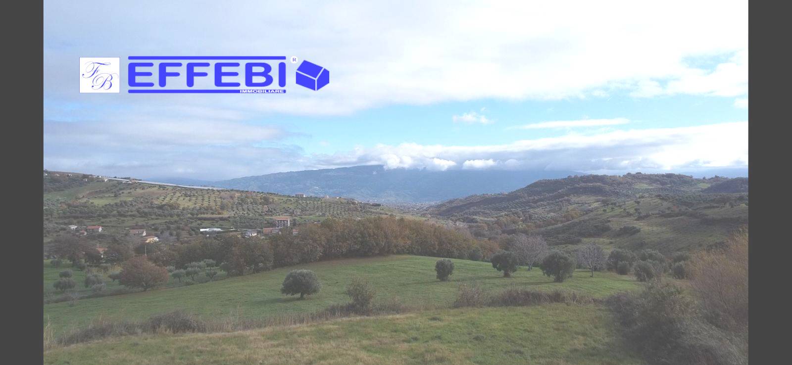 Terreno Agricolo in vendita a San Benedetto Ullano