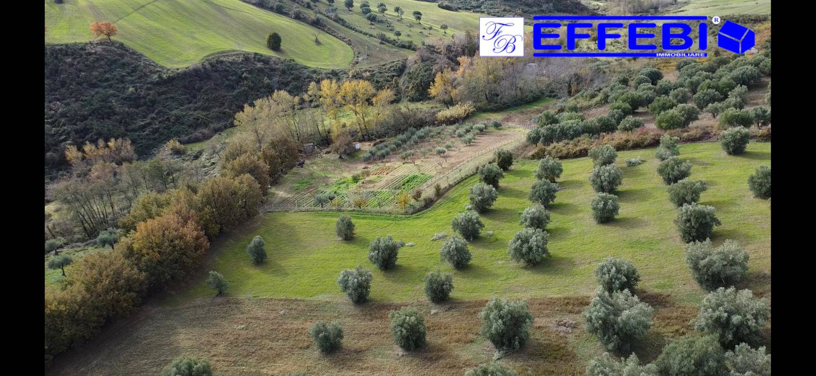 Terreno Agricolo in vendita a San Benedetto Ullano