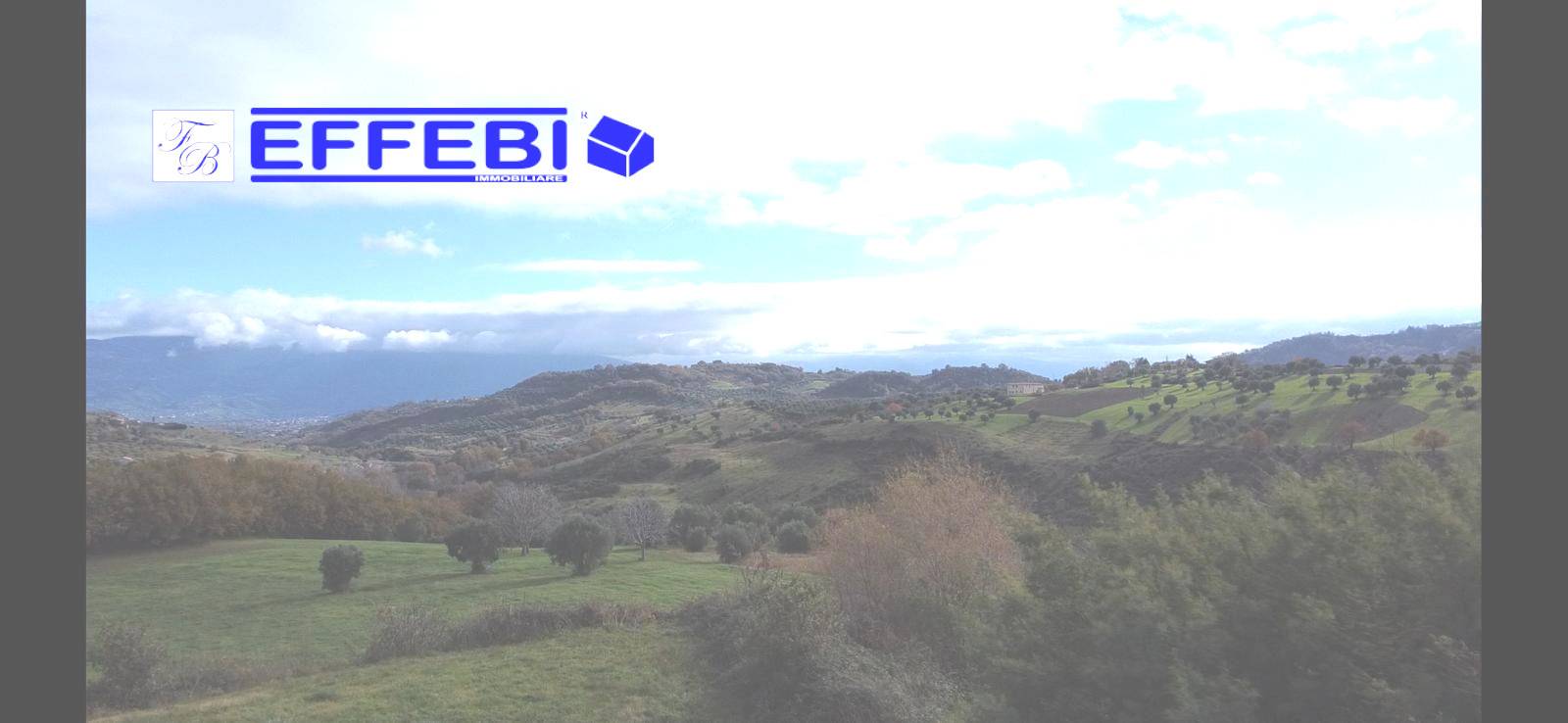 Terreno Agricolo in vendita a San Benedetto Ullano