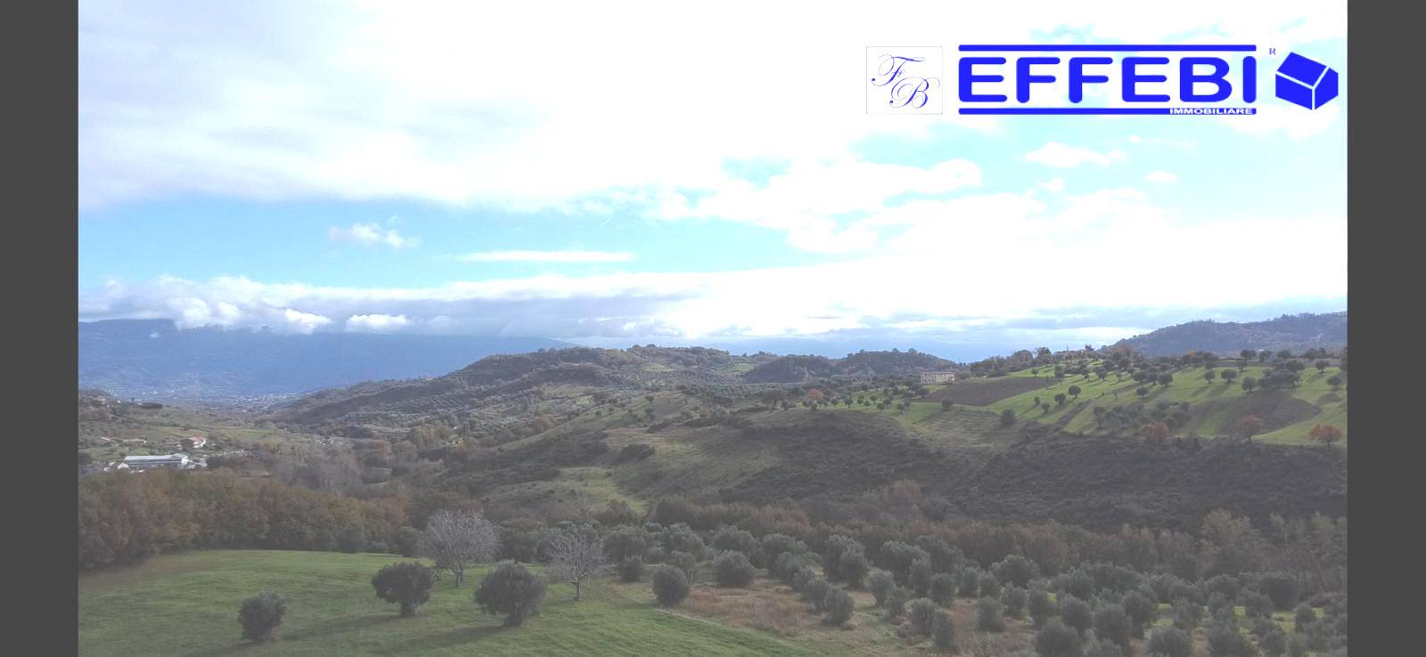 Terreno Agricolo in vendita a San Benedetto Ullano