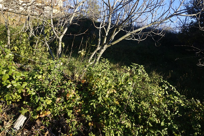 Terreno edificabile in vendita a Casali del Manco