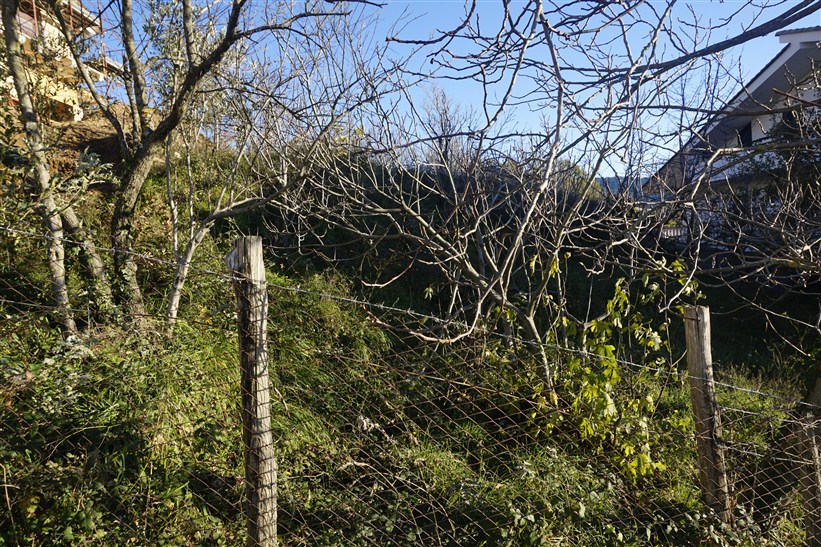 Terreno edificabile in vendita a Casali del Manco