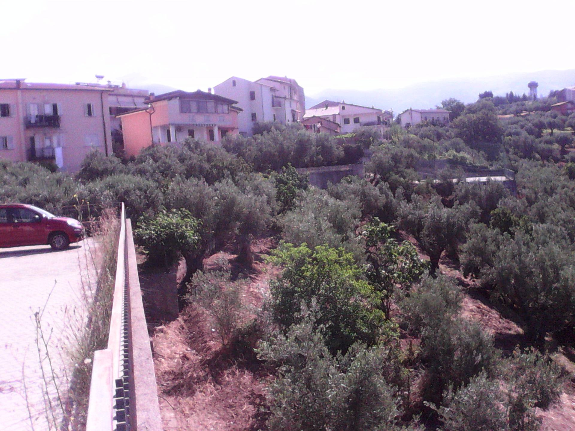 Terreno edificabile in vendita a Casali del Manco