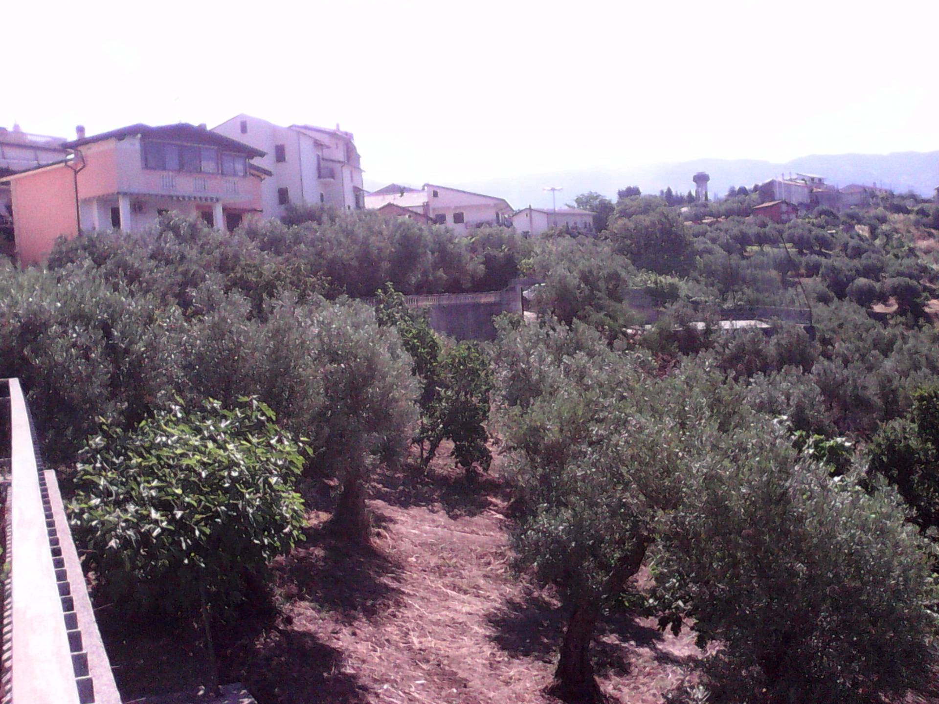 Terreno edificabile in vendita a Casali del Manco