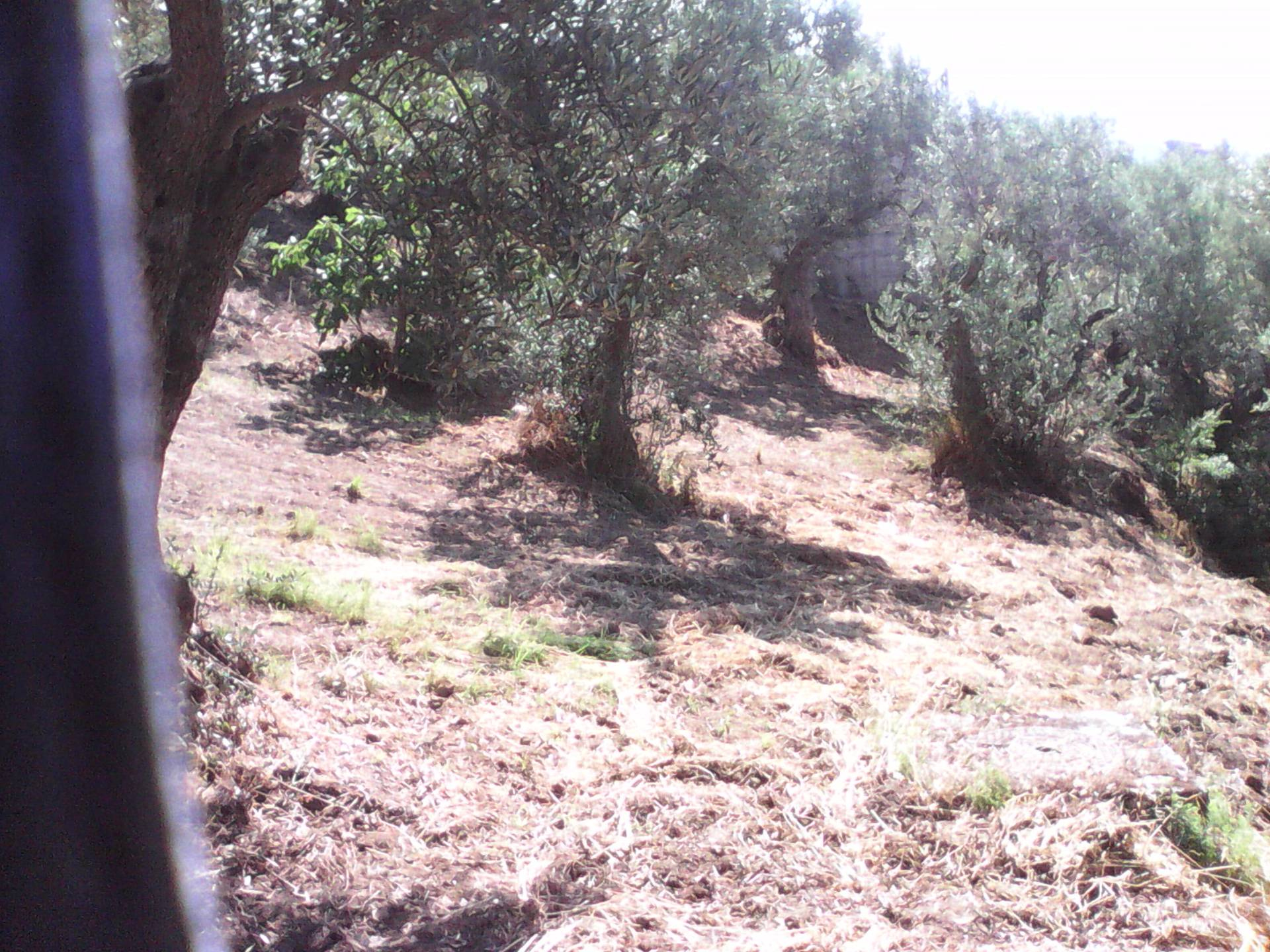 Terreno edificabile in vendita a Casali del Manco