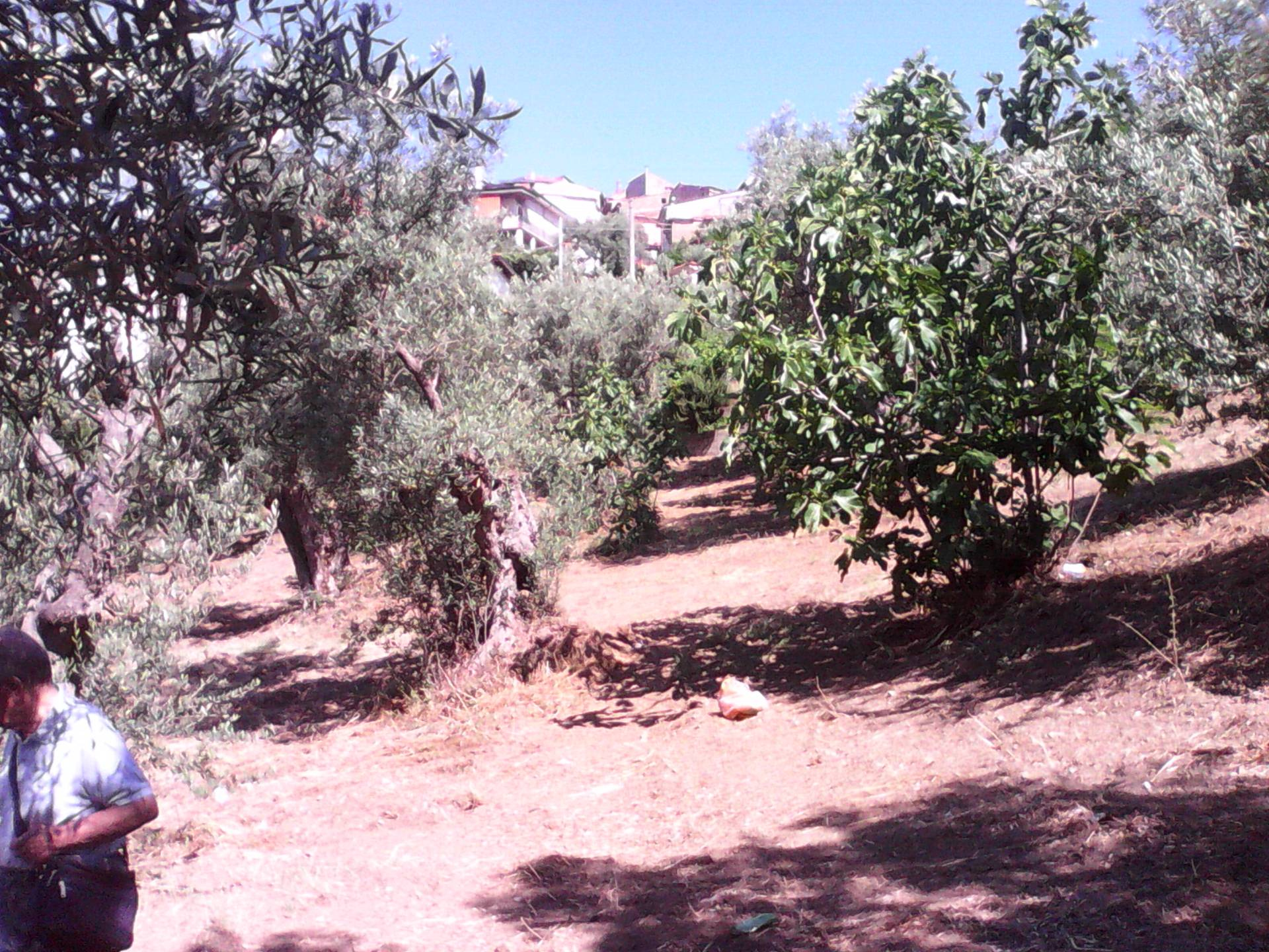 Terreno edificabile in vendita a Casali del Manco