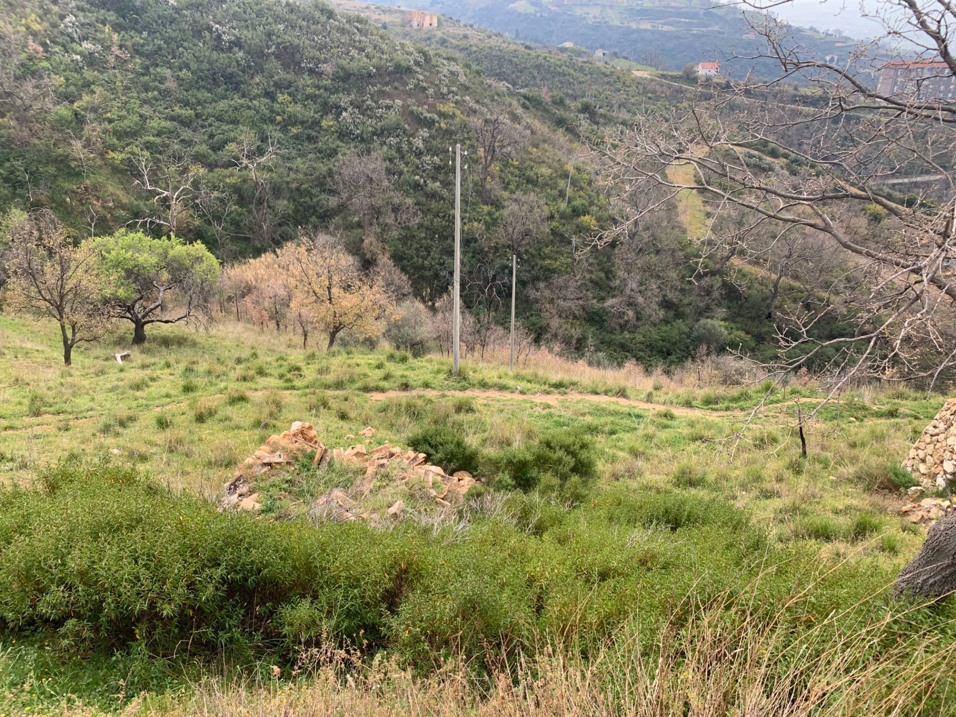 Terreno Agricolo in vendita a Luzzi
