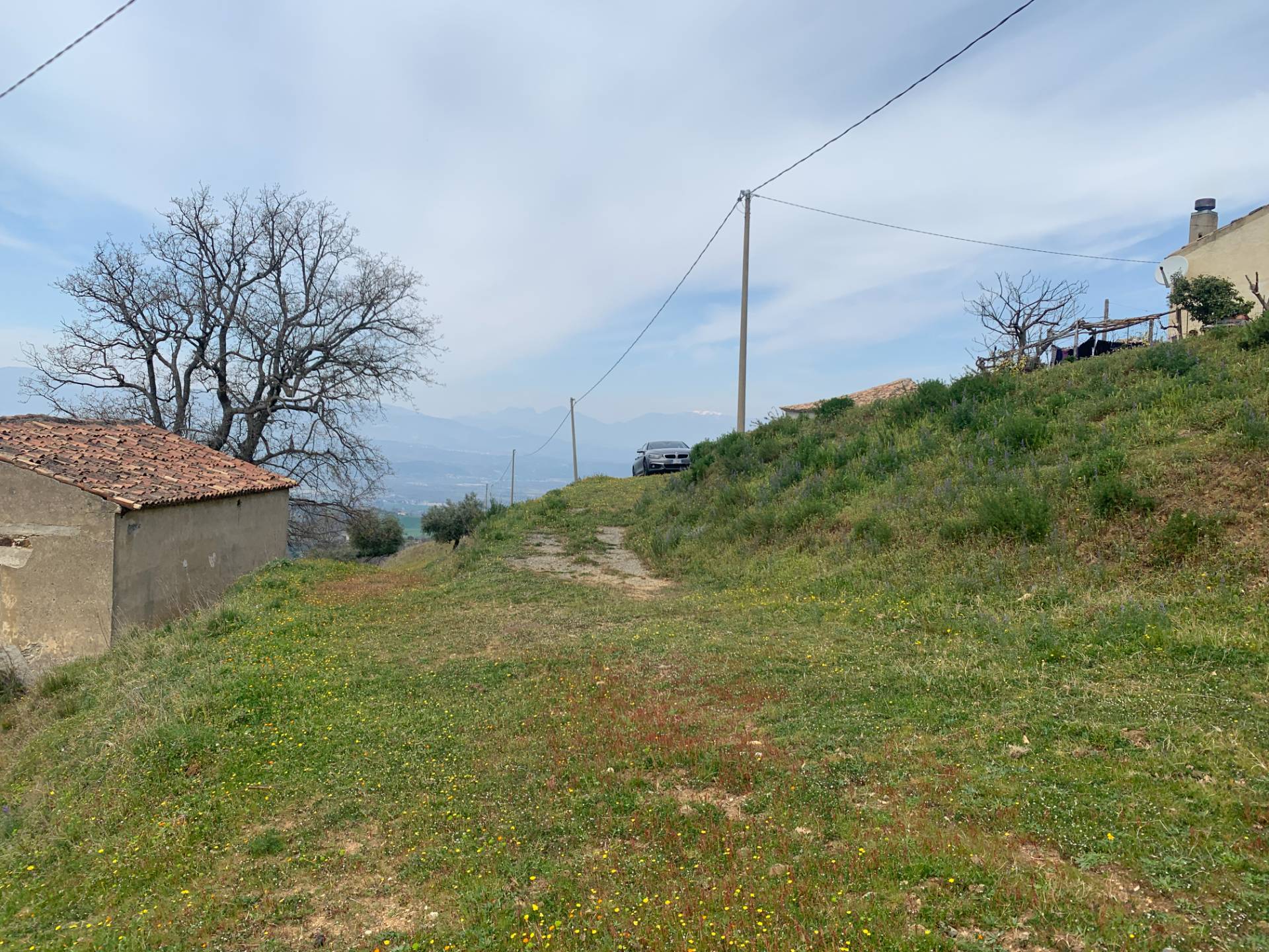 Terreno Agricolo in vendita a Luzzi